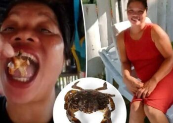Ֆիլիպիններում ֆուդ-բլոգերը մահացել է թունավոր խեցգետին ուտելուց հետո