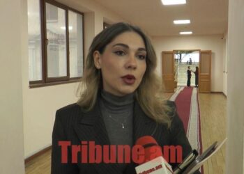 Այդ մահակը գործելու է բոլորի համար. Գալյանը՝ համացանցում հայհոյողներին տուգանելու մասին