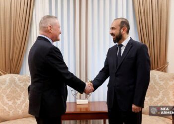 Միրզոյանը ԵԽ մարդու իրավունքների հանձնակատարի հետ քննարկել է Ղարաբաղից տեղահանվածների կարիքները