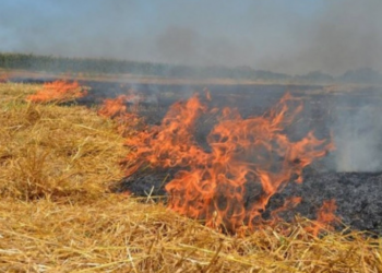 Հրդեհ Իջևանում՝ գերեզմանատան հարակից տարածքում այրվել է խոտածածկույթ