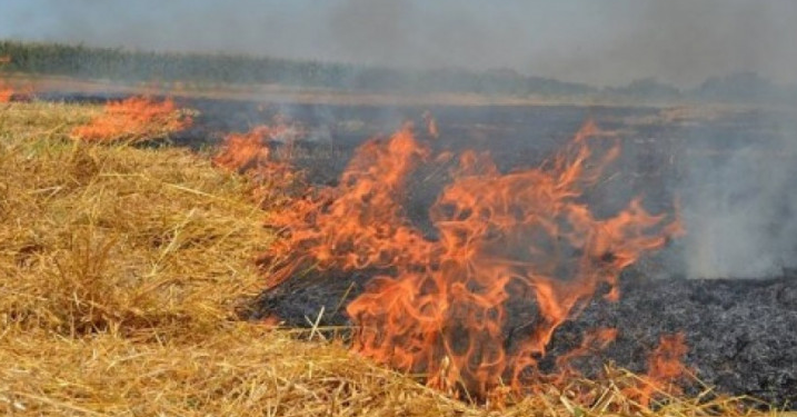 Հրդեհ Իջևանում՝ գերեզմանատան հարակից տարածքում այրվել է խոտածածկույթ