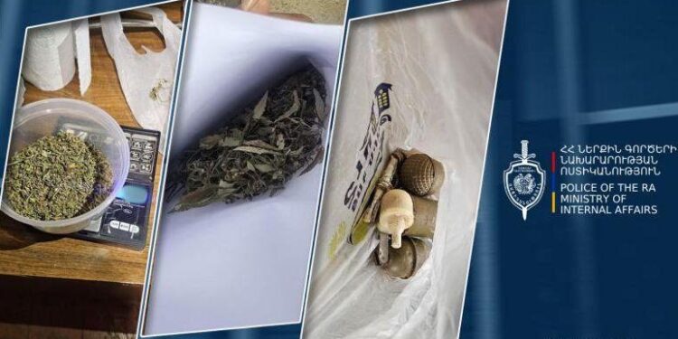 Կանեփից մինչև մարիխուանա․ Տավուշում բացահայտվել է տնային թմրանյութի պատմություն