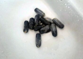 Օդային ճանապարհով քաղաքացին ՀՀ է ներմուծել 845 գրամ «կոկաին» տեսակի թմրամիջոց