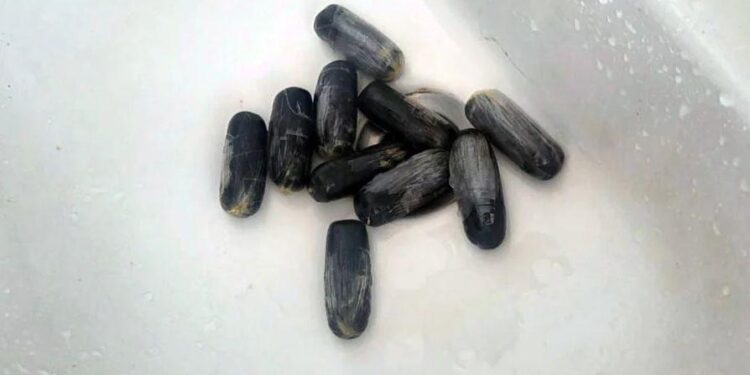 Օդային ճանապարհով քաղաքացին ՀՀ է ներմուծել 845 գրամ «կոկաին» տեսակի թմրամիջոց