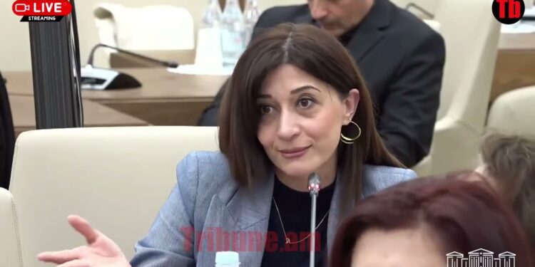 Խորը փիլիսոփայություն կա, չեմ կարող հակիրճ պատասխանել․ նախարարը կատակեց