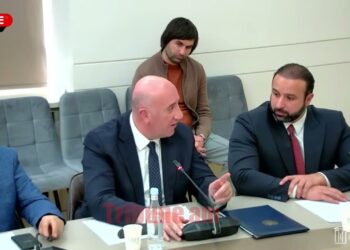 Կներեք, չեմ կիսում ձեր էնտուզիազմը, դասալքություն եք խրախուսում. Քրիստինե Պողոսյան