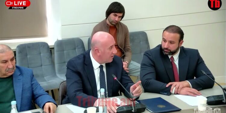 Կներեք, չեմ կիսում ձեր էնտուզիազմը, դասալքություն եք խրախուսում. Քրիստինե Պողոսյան