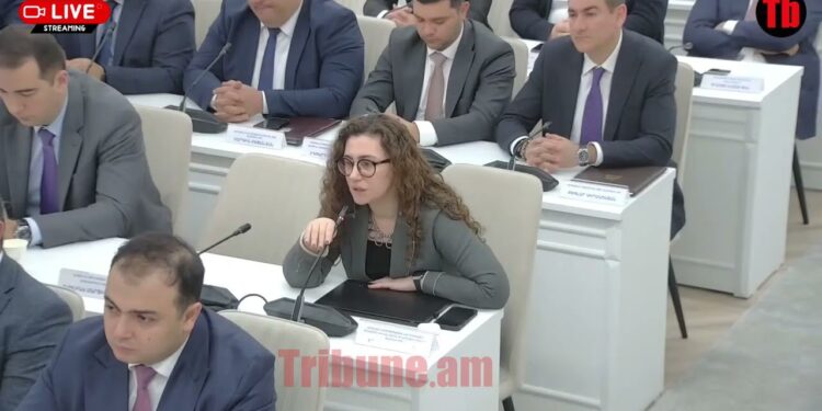 Երկու շաբաթ ժամանակ ձեզ․ Ավինյանը նկատողություն տվեց