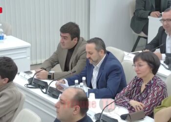 Եթե արհեստական բանականությամբ ձեզ փոխարինենք, խնդիրները կլուծվեն․ ավագանու անդամը՝ քաղաքապետին