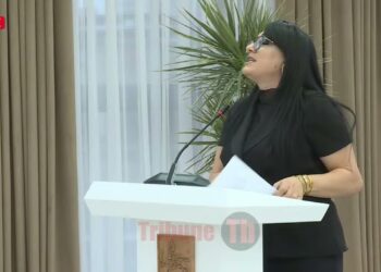 Սովետի հոտ ա գալիս մի տեսակ, երբ խոսում եք․ ես իմ չափերի մեջ եմ․ Վարդանյան