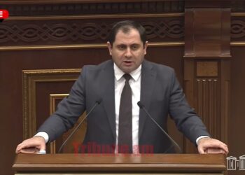 Ձեր սիրած թեմային եմ գալիս․ տարբեր «բատինկաններ» ունենալը նորմալ է․ ՊՆ նախարարը՝ պատգամավորին