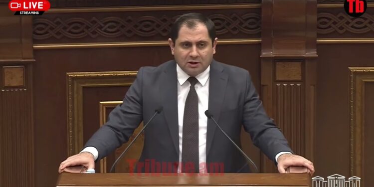 Ձեր սիրած թեմային եմ գալիս․ տարբեր «բատինկաններ» ունենալը նորմալ է․ ՊՆ նախարարը՝ պատգամավորին