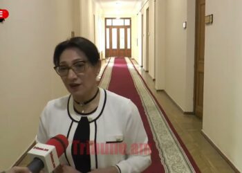 Նիկոլի գլխին լափ թափելու համար ինձ հանեցին բուհից, «չիստկա» արեցին. Լիլիթ Գալստյան