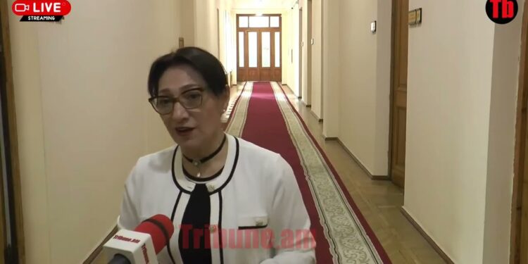 Նիկոլի գլխին լափ թափելու համար ինձ հանեցին բուհից, «չիստկա» արեցին. Լիլիթ Գալստյան