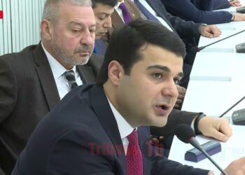 Ձեր սիրած գործն ա, Կոմիտաս փողոցի կենսունակություն չունեցող ծառերը պիտի՛ փոխվեն