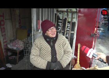 Վարչապետը ընկնի ձեռքս…, շնորհակալ եմ իրենց բիզնեսից, ինձ փողը տվեք ուտելիք ու շոր կառնեմ