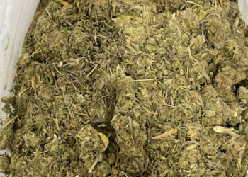 Աբովյանցին ձերբակալվել է՝ մեքենայում ավելի քան մեկ կիլոգրամ մարիխուանա հայտնաբերելուց հետո