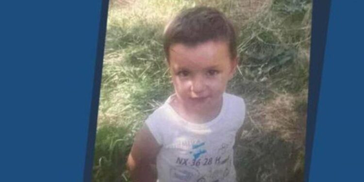 Ծափաթաղում սպանված 3-ամյա Տիգրանի քույրն ու եղբայրները վերադարձել են մոր խնամքին