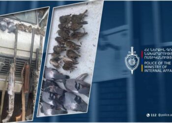 Շենիկ–Վանանդ ճանապարհին կանգնեցված մեքենայից հայտնաբերվել են որսորդական հրացաններ և թռչուններ