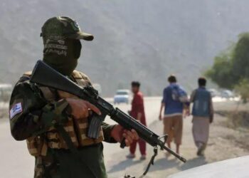 Աֆղանստանն ու Պակիստանը դադարեցրել են ռազմական գործողությունները