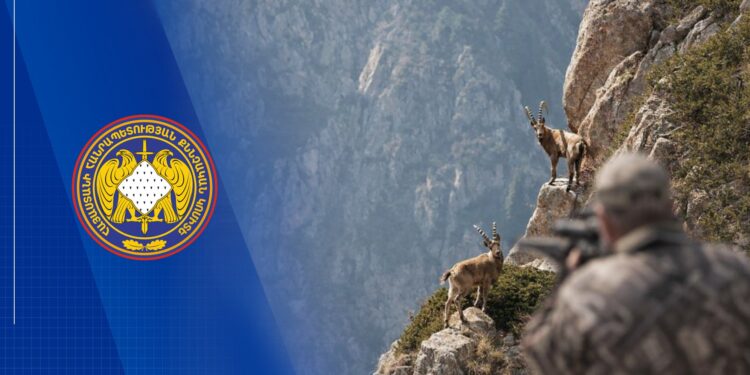 Կարմիր գրքում գրանցված բեզոարյան այծ ապօրինի որսալու դեպքի առթիվ նախաձեռնված քրեական վարույթի նախաքննությունն ավարտվել է