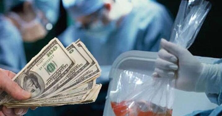 Մարդկային օրգանների վաճառքի մասնակից լինելու մասին լուրերը կեղծ են․ ԱՆ