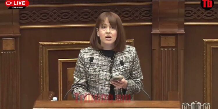 Նորաթուխ ՔՊ-ականի ճվալը ԱԺ-ում՝ Լիլիթ Գալստյանի վրա