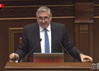 Ու՞մ վրա եք մուննաթ գալիս, ձեզ հոգեբույժ ա պետք. Աննա Գրիգորյանի սուր ելույթը