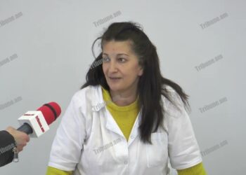 Ադրբեջանի դրոշին սովորել ենք, խախանդ ա, կրակոցներ չկան․ գեղանուշցի