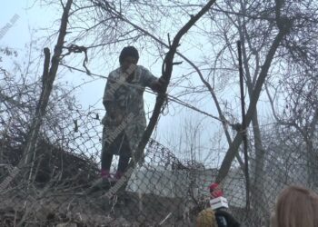 Տղես ասում ա՝ մա՛մ, մի գնա, ասում եմ՝ Մոսկվա մնամ, մեռնեմ, զոռո՞վ տանես, իմ տունն էս ա. խոզնավարցի