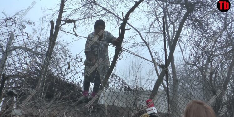 Տղես ասում ա՝ մա՛մ, մի գնա, ասում եմ՝ Մոսկվա մնամ, մեռնեմ, զոռո՞վ տանես, իմ տունն էս ա. խոզնավարցի