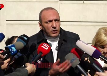 Նկարեք էս փտածությունը, էս որդ ու բլոճը, էս պոզերը. Բեգոյանը՝ հաստաբուն ծառերի մասին