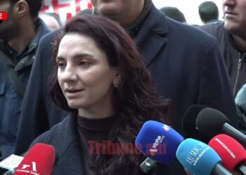 Արցախի էջը ո՛չ մեկ անձը, ո՛չ խմբակը չի կարող փակել. Արեգա Հովսեփյան