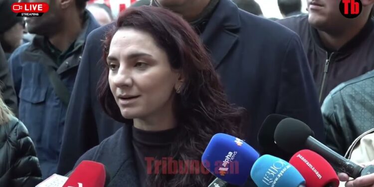 Արցախի էջը ո՛չ մեկ անձը, ո՛չ խմբակը չի կարող փակել. Արեգա Հովսեփյան