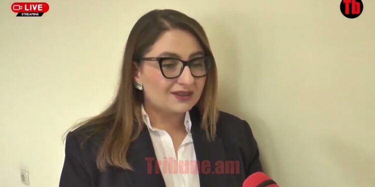 Ի՞նչ ներողություն, ուրեմն մեկին տա սպանի ու ասի՝ ներողությու՞ն. Քրիստինե Վարդանյան