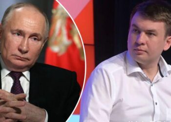 Պուտինին քննադատելուց հետո բլոգերին հոգեբուժարան են տեղափոխել