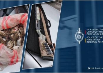 Արմավիրում մեքենայից հայտնաբերվել է որսած 75 տափաստանային արտույտ․ վարորդը ձերբակալվել է