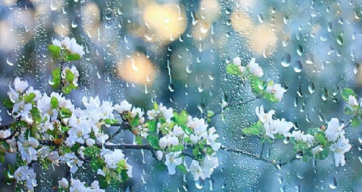 Ապրիլի 7-12-ին սպասվում են տեղումներ, ուժեղ քամի և ջերմաստիճանի տատանումներ