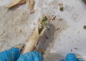 «Արմավիր» ՔԿՀ-ում կանխվել է թմրամիջոցների փոխանցման փորձ