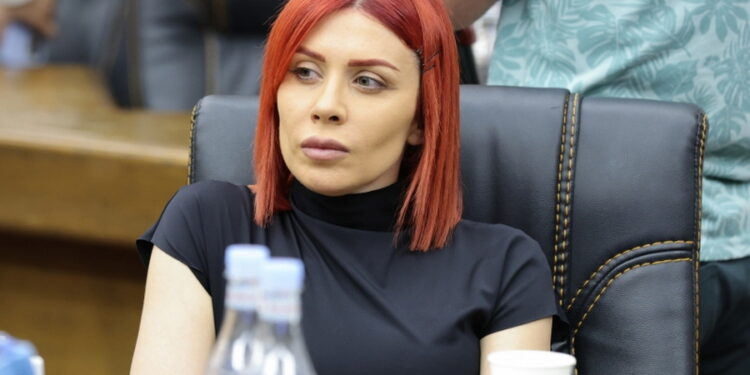 Իշխանափոխության դեպքում պատրաստ ենք համագործակցության. Ագնեսա Խամոյան