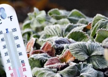 ՈւՇԱԴՐՈՒԹՅՈՒՆ․ օդի ջերմաստիճանը կնվազի մինչև -1°C