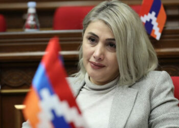 Սպորտն էլ արդեն դատարաններով են կառավարում. Էլինար Վարդանյան