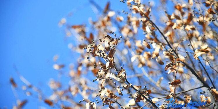 Օդի ջերմաստիճանը կնվազի, ապա աստիճանաբար կբարձրանա