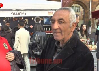 Համարս տվեք թող Նիկոլը մի հատ զանգի, ի՞նչ Լառնակա, սկի կոմունալ չենք կարում տանք