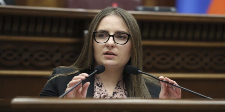 Վարդանյանը կոչ է անում հանրային ճնշմամբ փոխել Դավիթ Մինասյանի խափանման միջոցը