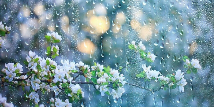 Օդի ջերմաստիճանը կբարձրանա. սպասվում են անձրևներ 