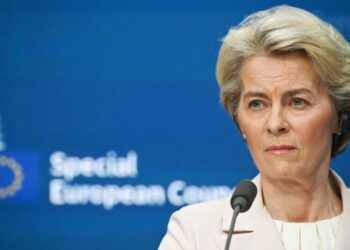 Դադարեցրեք սատկած խավարասեր ձևանալ․ եվրապատգամավորը՝ ֆոն դեր Լեյենին