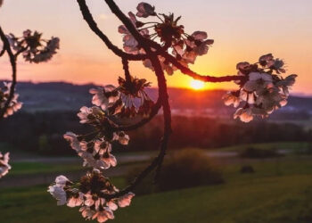 Օդի ջերմաստիճանը կբարձրանա