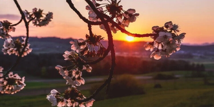 Օդի ջերմաստիճանը կբարձրանա