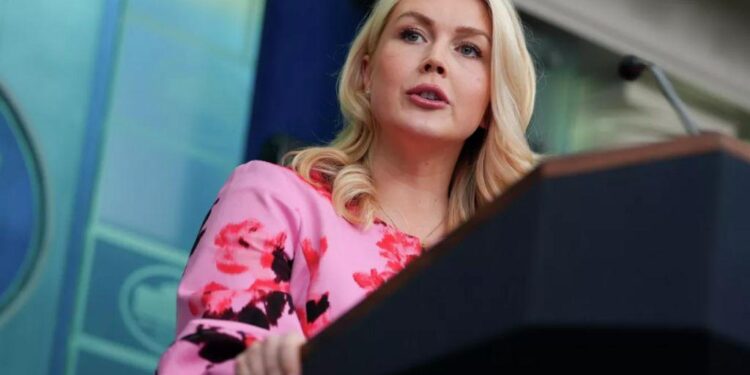 Լևիթը բողոքել է, որ երկրորդ անգամ է ծննդաբերում Թրամփի դեմ մահափորձերի օրերին